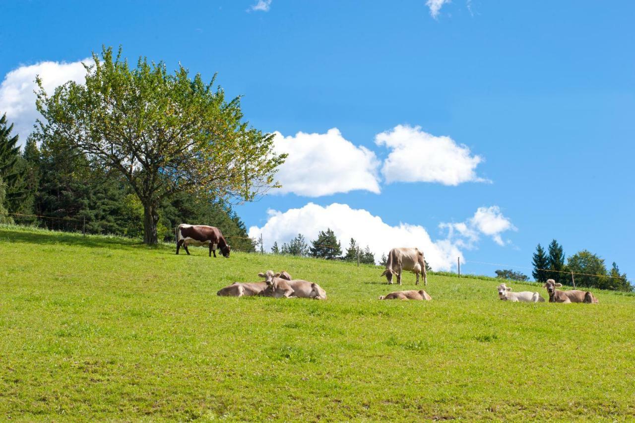 Gasthof Ebner Pfiffikus Aldino Bagian luar foto